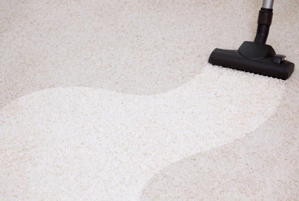 Carpet cleaning service